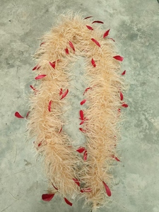 Pluma <span class=keywords><strong>de</strong></span> boas <span class=keywords><strong>de</strong></span> <span class=keywords><strong>plumas</strong></span> <span class=keywords><strong>de</strong></span> avestruz <span class=keywords><strong>con</strong></span> pluma <span class=keywords><strong>de</strong></span> gallo pelada para fiesta <span class=keywords><strong>de</strong></span> baile actuación escenario espectáculo <span class=keywords><strong>disfraz</strong></span> - Product Image 6