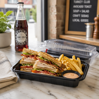 Wegwerp PET plastic bento box rechthoekig meeneemdoosje supermarkt voedselcontainer voedselveilige lunchbox groothandel