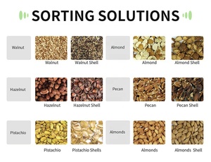 Wesort ai-powered çift bantlı somun greyder gerçek zamanlı analiz ikiz konveyör sistemi ile % 99.9% saf badem renk sıralayıcı - Product Image 2