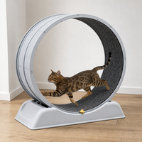 Jouet interactif pour chat : Roue d'exercice silencieuse, structure d'escalade, roue de course solaire, compteur de tours, en PP+TPR