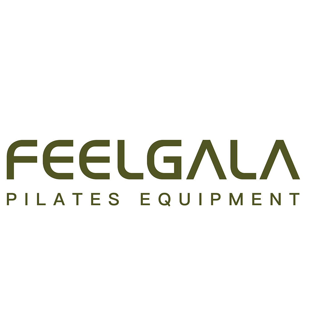 Shenzhen Desen Fitness Technology Co., Ltd. logo