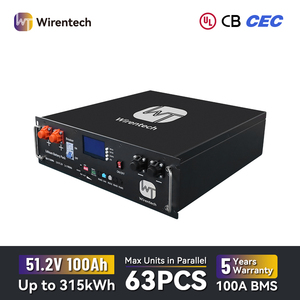 Batería de Almacenamiento de Energía Doméstica LiFePO4 de 51.2V 100Ah con Diseño Compacto para Ahorro de Espacio, ESS 100A, BMS Integrado, Batería para Rack con Servidor CAN - Product Image 1