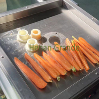 Fruit- en groentesnijmachine voor citroenen, ananas, tomaten en sinaasappels