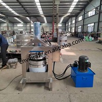 Vbjx Industriële Elektrische Multifunctionele Roestvrijstalen Fruit Citrus Grote Koude Pers Juicer Afzuigmachine Prijs
