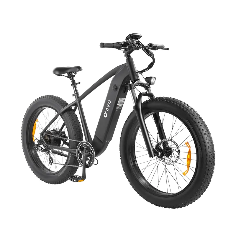 48v 750w Emtb Retro E-Bike Electric Cycle Road Dirt Bicycle Fat Tire Ebike Electric Mountain Bike