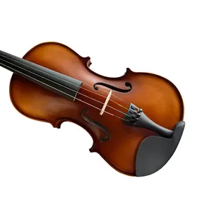 Sinomusik Pulverización satinada de bajo presupuesto con parte posterior de arce sólido tallado, instrumentos de cuerda de violín Purfling sólido de abeto con estuche y arco