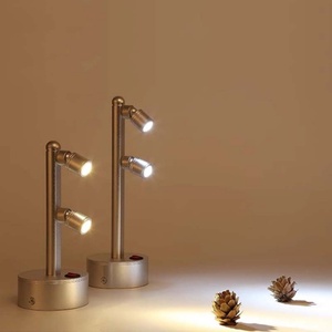 Projecteur LED multi-têtes rechargeable pour bijoux, 2W/3W/5W, éclairage de vitrine, musée, exposition artisanale - Product Image 5