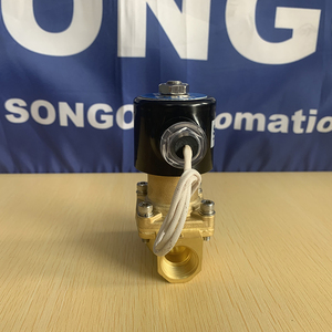 SONGO Solenoide Magnético de Latón de 2 Vías y 12VDC de Alta Presión (16 bar) - Product Image 5