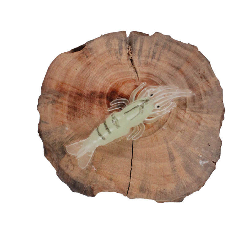 Colore C 10 pezzi/scatola