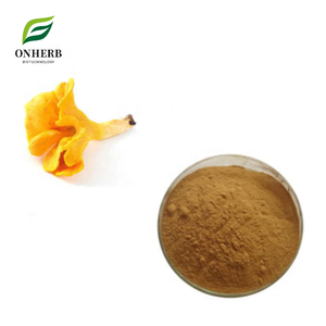 Extracto de Hongo Chanterelle Estandarizado de Fábrica, 99% Extracto de <span class=keywords><strong>Cantharellus</strong></span> <span class=keywords><strong>Cibarius</strong></span> en Polvo - Product Image 1