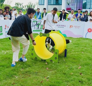 Eco Friendly Safe <span class=keywords><strong>Dog</strong></span> Obstacle Challenges Pet Momentos juguetones y paseos al aire libre <span class=keywords><strong>Dog</strong></span> Park Pet <span class=keywords><strong>Training</strong></span> <span class=keywords><strong>Dog</strong></span> Tunnel System - Product Image 2