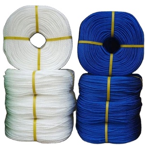Ficelle en polypropylène pour filet de pêche, corde torsadée, ficelle en PP, cordon en nylon coloré, polypropylène 210d/6-36ply 210D - Product Image 1