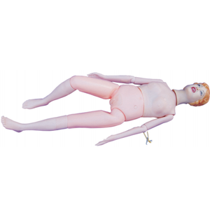 의료 간호 직업에서 널리 사용되는 간호 Manikin 모델 - Product Image 1