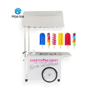 Mini negozio di gelati surgelati Cart rimorchio Gelato messicano spiaggia Freezer carrello a mano Push carrelli per Gelato