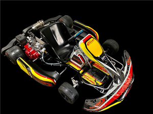 Professionelles Karting-Auto mit 6,5 PS <span class=keywords><strong>Motor</strong></span>, Benzinbetrieben, für den Außenbereich, Anpassungsmöglichkeiten verfügbar - Product Image 2