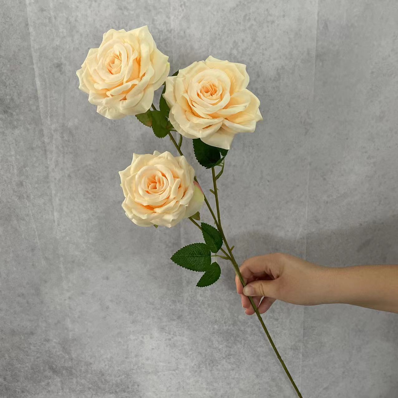 Champagne Rose Diamant sans feuilles