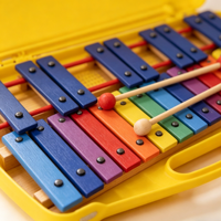 Colorful 25 Notes Glockenspiel Xylophone Percussion Rhythm Musical Educational Teaching Instrument Toy for Baby Kids Children