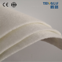 Géotextile non tissé multifonctionnel en PP/PET 300g-800g pour la protection côtière, le drainage des talus et la remise en état des terres