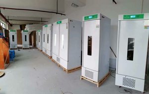 Display LCD incubadora de germinação das sementes - Product Image 4