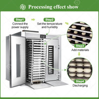 Machine de Fermentation Automatique Numérique Mini pour Croissants, Fermenteur Intermédiaire pour Humidificateur