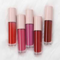 Gloss à lèvres volumateur à haute brillance en gros, cosmétiques, gloss à lèvres, marque privée, gloss à lèvres scintillant