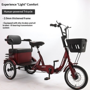 <span class=keywords><strong>Bicicleta</strong></span> <span class=keywords><strong>de</strong></span> <span class=keywords><strong>Tres</strong></span> <span class=keywords><strong>Ruedas</strong></span> para Personas Mayores, Diseño <span class=keywords><strong>Plegable</strong></span> que Ahorra Esfuerzo, Cuadro <span class=keywords><strong>de</strong></span> Acero <span class=keywords><strong>de</strong></span> Alto Carbono, Freno <span class=keywords><strong>de</strong></span> Disco, Capacidad <span class=keywords><strong>de</strong></span> Carga <span class=keywords><strong>de</strong></span> 200 kg - Product Image 2