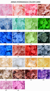 Fleurs d'hortensia Anna stabilisées en coffret cadeau, hortensia véritable éternel pour la décoration intérieure, longue durée pour les arrangements floraux DIY - Product Image 3