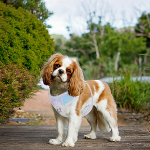 HanYang OEM Zeremonie Braut Hochzeit Shiny Dog Harness für weibliche männliche Hunde Mermaids Dog Harness - Product Image 6