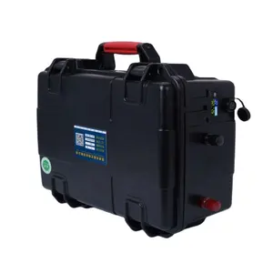 Groothandelsprijs Dc 48V 80ah Golfkar Lithium Ion Oplaadbare Batterij