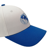 Topi Baseball Kanvas 6 Panel OEM Classic Unisex Putih Biru Gambar Bordir 3D Berkualitas Tinggi Model Snapback