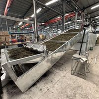 Séchoir à bande transporteuse multicouche, déshydrateur alimentaire automatique pour tranches de gingembre, légumes, fruits, produits agricoles