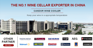 Fábrica de semiconductor de refrigeración <span class=keywords><strong>12</strong></span> <span class=keywords><strong>botellas</strong></span> de estantes de madera pequeña zona dual refrigerador de vino - Product Image 6