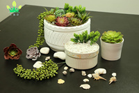 Plantes succulentes artificielles sans pot 14 Pack Grande plante succulente Cactus pour la maison DIY Petite plante en plastique du désert Décor
