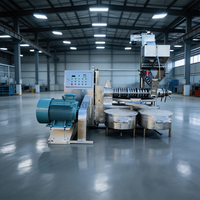Nouvelle presse à huile végétale automatique Lewin multi-huiles à froid et à chaud, haute productivité 500-600 kg/h, 380V, pour graines de palme et de lin
