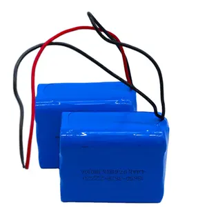 18650 Li-Ionen-Akkupack 22,2 V 6S2P 4400mah 18650 Akkupack