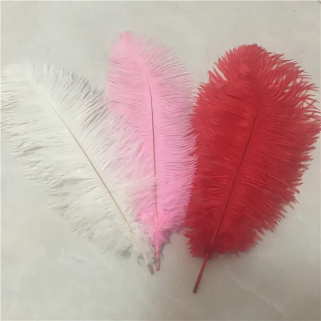 Hot Sale 55-60cm White And Colors Artificial Ostrich Feathers