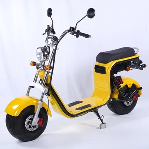 Yetişkin elektrikli scooter kapı kapı 1500W 2000W Motor Hub disk fren çift koltuklu Citycoco Unisex şehir E bisiklet