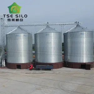 5000T silo jagung kedelai galvanis untuk penyimpanan jangka panjang