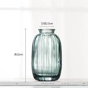 Ins Style Creative Glass <strong>Vase</strong> <strong>Flowers</strong> Green Plant Hydroponic Green Rose Plant Single Mini <strong>Small</strong> <strong>Vase</strong> Desktop Ornaments - Product Image 6