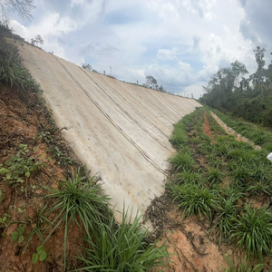 Vật Liệu Mới Bê Tông Chăn 8Mm Xi Măng Chăn Cống Mương Dốc Bảo Vệ Bê Tông Vải Xi Măng - Product Image 2