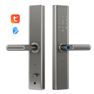Ev Kapısı Kapı Zili Kolu Düğmesi Dijital Anahtar Kartı Biyometri Parmak İzi TTLock Tuya Uygulaması Elektronik Akıllı Kapı Kilidi Üreticisi - Product Image 1