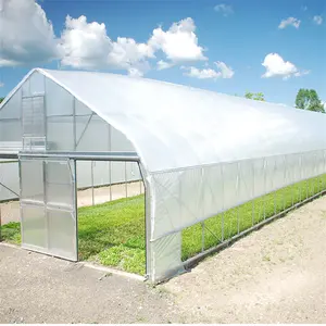 低成本9x30m温室框架绿色塑料薄膜高隧道温室钢架待售