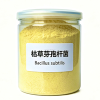 Bacillus Subtilis 100 milliards UFC/g, additif alimentaire probiotique stable extrudé à double vis, poudre fine uniforme, favorise la croissance des animaux