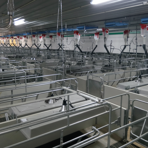 Nueva condición Hierro Acero Galvanizado Cerdo Jaula de maternidad Cerda Jaulas de parto 1,8x2,4 m Ventilación de presión positiva Automática - Product Image 1