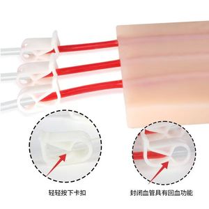 Khoa học y tế thu thập máu <span class=keywords><strong>IV</strong></span> tiêm đào tạo giả lập hình chữ Y - Product Image 1