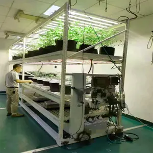 Multi Level Grow Rack System alumínio vegetal crescente hidropônico rack sistema ebb e fluxo hidropônico sistema