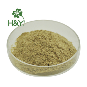 H & Yピュア天然西洋ワサビエキストップクラス西洋ワサビエキスパウダー - Product Image 3