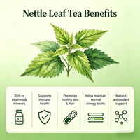Thé de feuilles de marrue entières naturelles OEM d'usine, riche en antioxydants, soutient l'immunité, favorise la santé de la peau et des cheveux, pur et de qualité supérieure