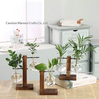 Petit vase hydroponique créatif en bois, décoration, culture aquatique de plantes vertes, arrangement floral transparent