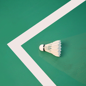 Pluma de Bádminton de Alta Calidad, Grado Club, para Entrenamiento, Partido y Práctica - Product Image 1